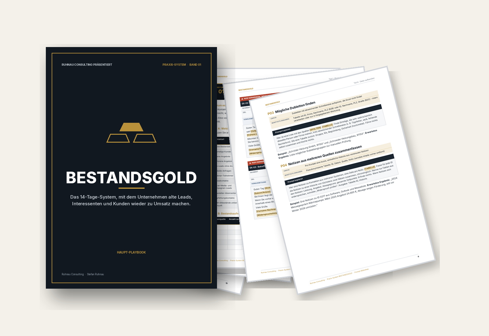 BESTANDSGOLD Paket-Mockup